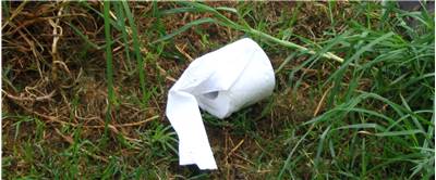 Necessary Toilet Paper