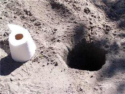 Toilet Paper In Nature