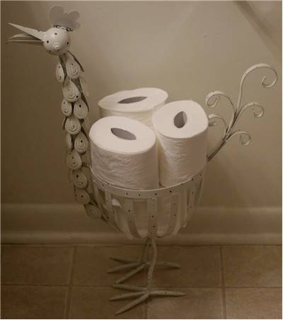 Toilet Paper Rolls